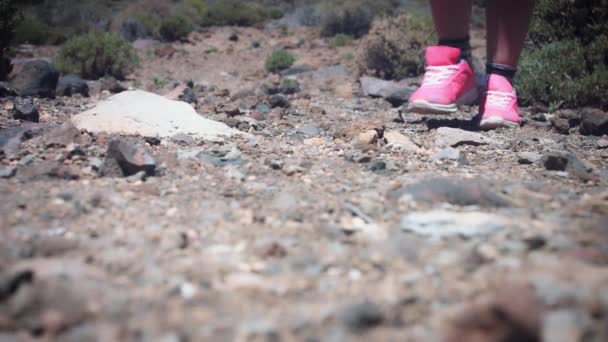Gros Plan Chaussures Sport Roses Sur Beaux Endroits Tenerife Espagne — Video