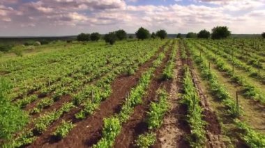 : Orhei, Moldova Cumhuriyeti Haziran 2017