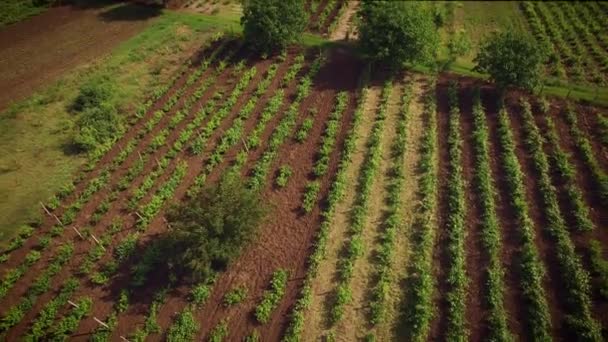 Orhei, République de Moldavie, juin 2017 