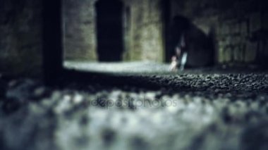 Korku filmleri tarafından ilham