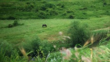 Moldova Cumhuriyeti, 2017