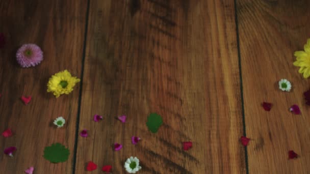 Le concept et le design ont été créés par moi 