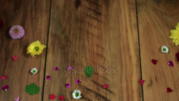 Le concept et le design ont été créés par moi 