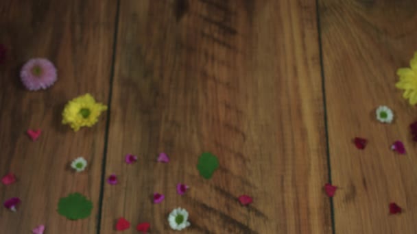 Le concept et le design ont été créés par moi 