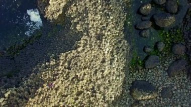 devushki-giganti-video