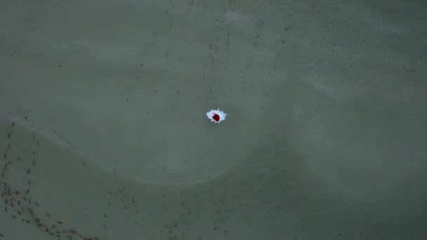 Modèle caucasien posant 