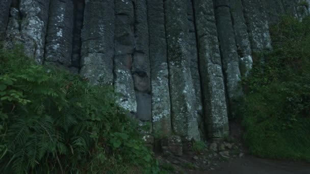 De Giant's Causeway — Stockvideo