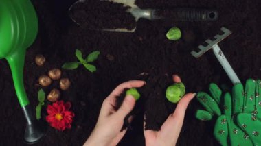 Konsept ve tasarımı bana tarafından oluşturuldu