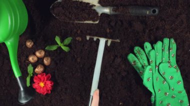 Konsept ve tasarımı bana tarafından oluşturuldu