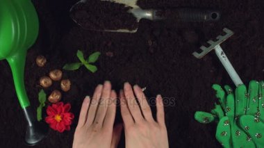 Konsept ve tasarımı bana tarafından oluşturuldu