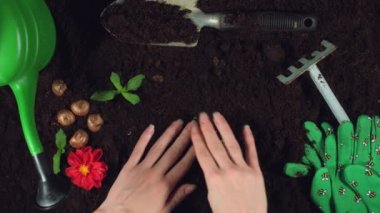 Konsept ve tasarımı bana tarafından oluşturuldu