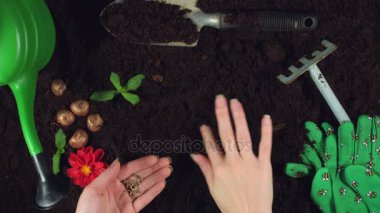 Konsept ve tasarımı bana tarafından oluşturuldu