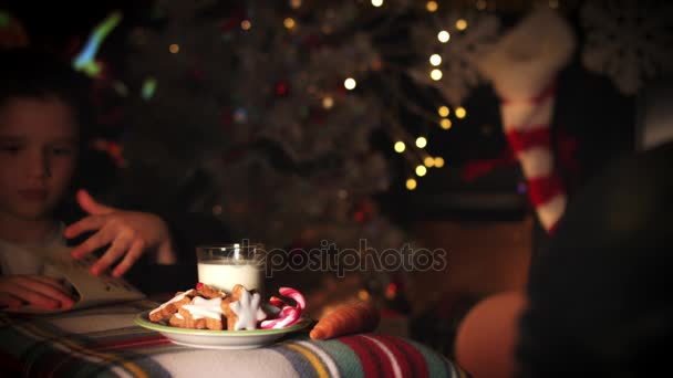 Christmas New Year Holiday Child Leaving Letter Cookies Santa — Stock Video