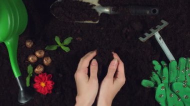 Konsept ve tasarımı bana tarafından oluşturuldu