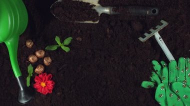 Konsept ve tasarımı bana tarafından oluşturuldu