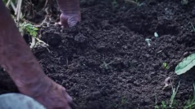 Eski, vintage kompozisyon