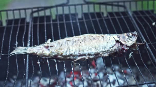 Peixes e mariscos frescos — Vídeo de Stock