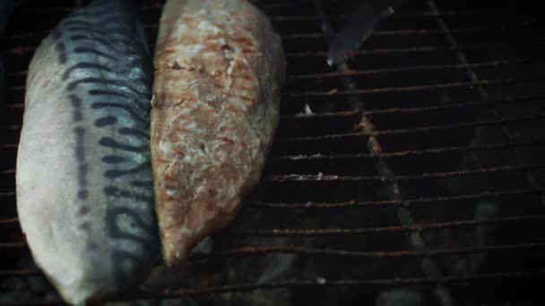 Čerstvé ryby a mořské plody — Stock video
