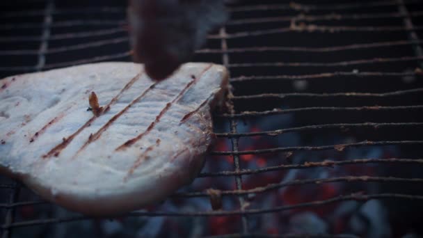 Frischer Fisch und Meeresfrüchte — Stockvideo