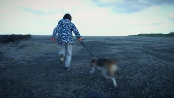 Criança e cachorro se divertindo — Vídeo de Stock