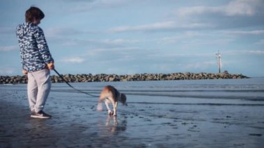Çocuk ve köpek yavrusu eğleniyor