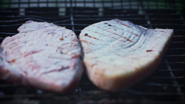 Frischer Fisch und Meeresfrüchte — Stockvideo