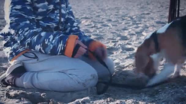 Criança e cachorro se divertindo — Vídeo de Stock