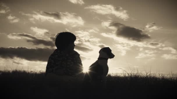 Niño y cachorro divertirse — Vídeos de Stock