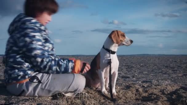 Niño y cachorro divertirse — Vídeos de Stock