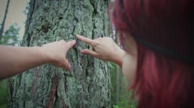 Letonya, ormanların 2017