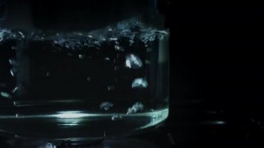 Taze makarna ve deniz ürünleri