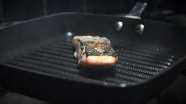 Taze balık ve deniz ürünleri.