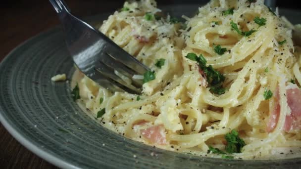 Färsk pasta och skaldjur — Stockvideo