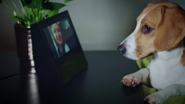 PET a inteligentní dům zobrazovací zařízení — Stock video