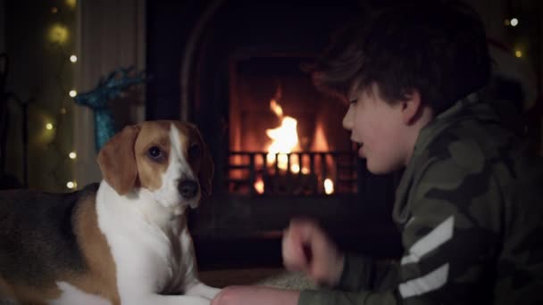 家族と犬ビーグル — ストック動画