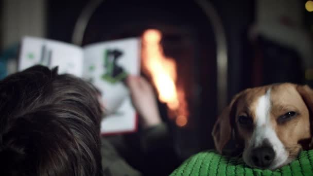 Cão beagle com família — Vídeo de Stock