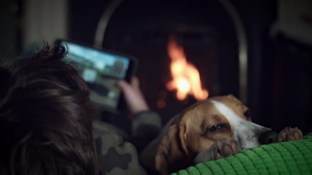 Perro beagle con familia — Vídeo de stock