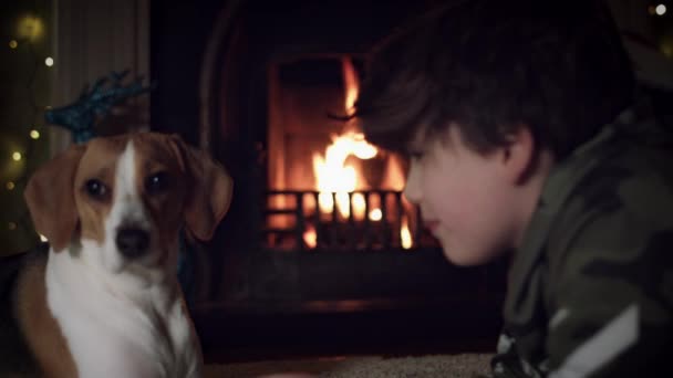 Perro beagle con familia — Vídeos de Stock