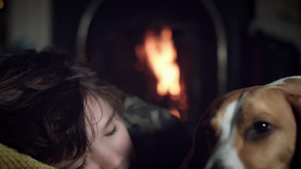 Perro beagle con familia — Vídeo de stock