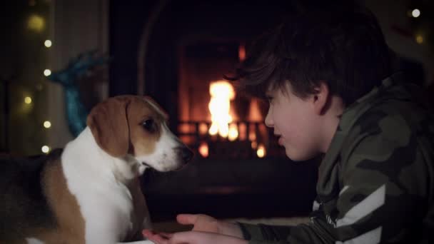 Pies rasy beagle z rodziną — Wideo stockowe