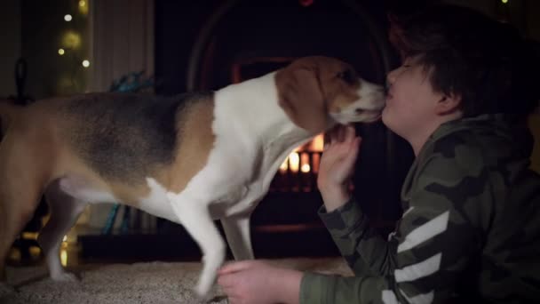 Pies rasy beagle z rodziną — Wideo stockowe