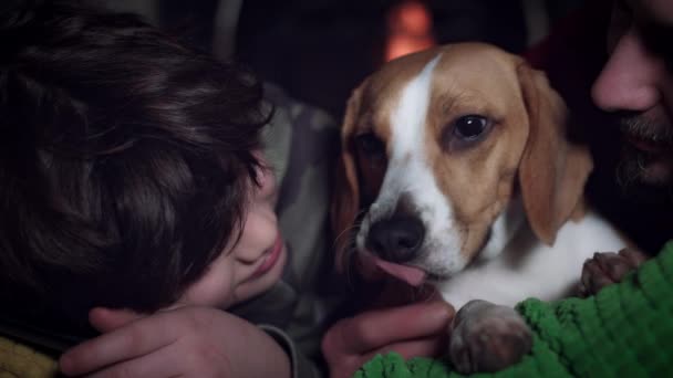 Perro beagle con familia — Vídeo de stock