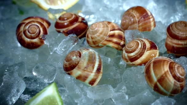 Peixes e mariscos frescos — Vídeo de Stock