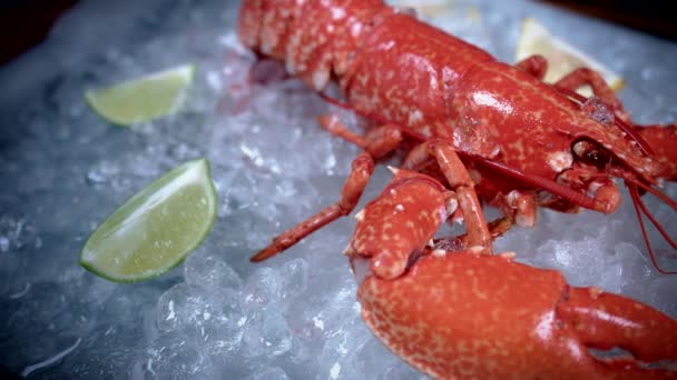 Pescado fresco y mariscos — Vídeo de stock