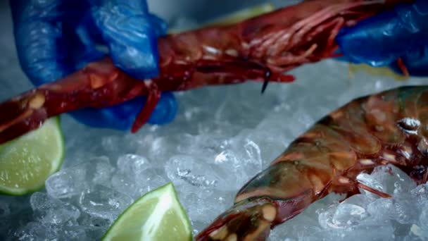 Pescado fresco y mariscos — Vídeos de Stock