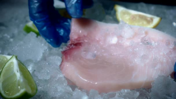 鲜鱼和海鲜 — 图库视频影像