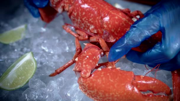 Poissons et fruits de mer frais 