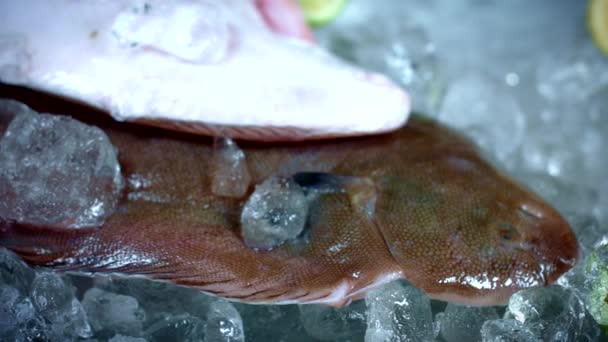 Свежая рыба и морепродукты — стоковое видео