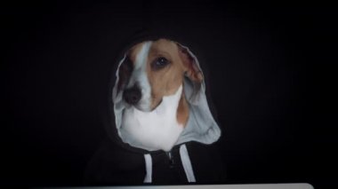 Karanlığın içinde suç hacker