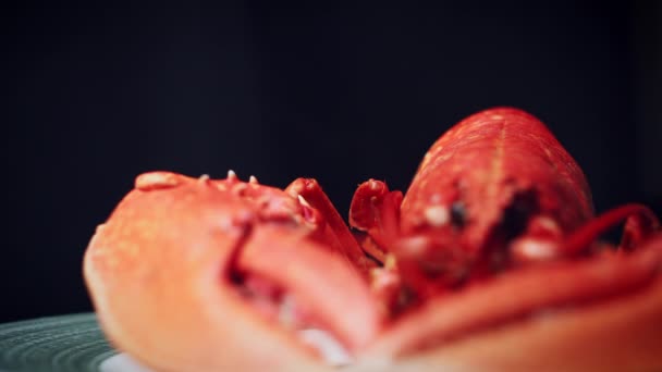 Fruits de mer en pot de verre — Video